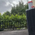 Lọ đựng bong bóng xà phòng chống tràn - Parametric - Thumbnail 7
