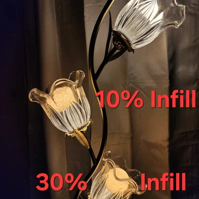 Bộ tán sáng bóng đèn (Lightbulb Diffuser)