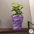 Chậu Cây Low-Poly Xoắn Ốc Hiện Đại - Thumbnail 4