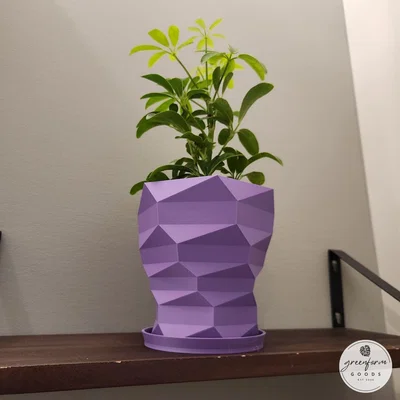 Chậu Cây Low-Poly Xoắn Ốc Hiện Đại