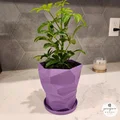 Chậu Cây Low-Poly Xoắn Ốc Hiện Đại - Thumbnail 5