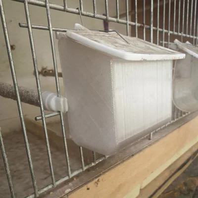 Máng ăn cho lồng chim loại nhỏ