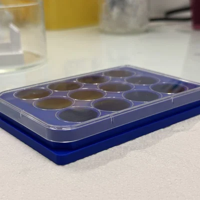 Đĩa nuôi cấy 12 giếng (12 Well Plate)