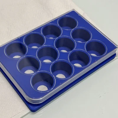 Đĩa nuôi cấy 12 giếng (12 Well Plate)