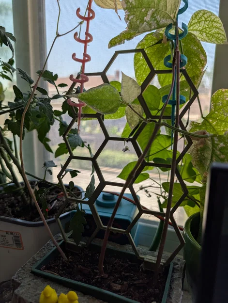 Khung hỗ trợ cây leo 3D dạng lục giác (Hexagonal Plant Support) - Image 1