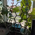 Khung hỗ trợ cây leo 3D dạng lục giác (Hexagonal Plant Support) - Thumbnail 1