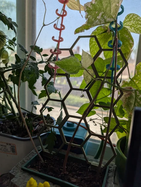 Khung hỗ trợ cây leo 3D dạng lục giác (Hexagonal Plant Support) - Image 2