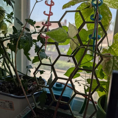 Khung hỗ trợ cây leo 3D dạng lục giác (Hexagonal Plant Support)