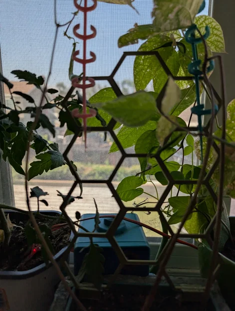 Khung hỗ trợ cây leo 3D dạng lục giác (Hexagonal Plant Support) - Image 3
