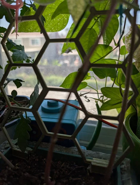 Khung hỗ trợ cây leo 3D dạng lục giác (Hexagonal Plant Support) - Image 4