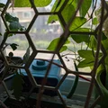 Khung hỗ trợ cây leo 3D dạng lục giác (Hexagonal Plant Support) - Thumbnail 4