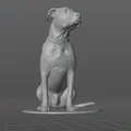 Mô hình chú chó Pitbull tên Bogey - Thumbnail 2