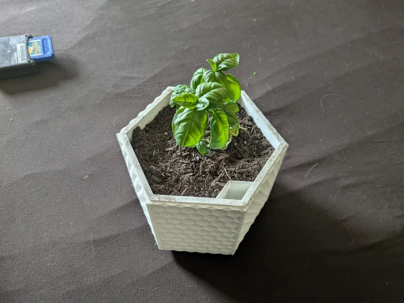 Chậu Trồng Cây Hình Lục Giác Tự Tưới (Self-Watering) - Image 1