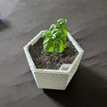 Chậu Trồng Cây Hình Lục Giác Tự Tưới (Self-Watering) - Thumbnail 1