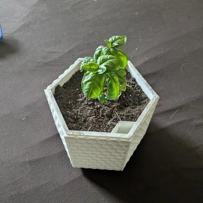 Chậu Trồng Cây Hình Lục Giác Tự Tưới (Self-Watering)