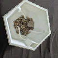 Chậu Trồng Cây Hình Lục Giác Tự Tưới (Self-Watering) - Thumbnail 2