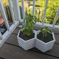Chậu Trồng Cây Hình Lục Giác Tự Tưới (Self-Watering) - Thumbnail 5