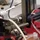 TomRiesner_155529