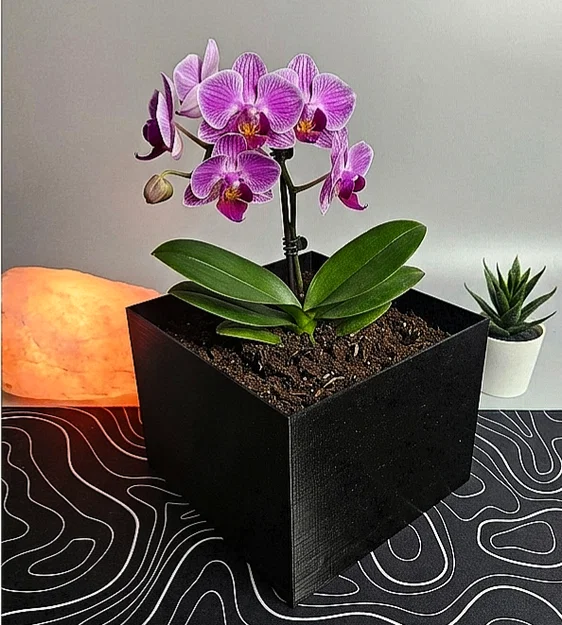 MAKEDOMINI - Chậu Cây Mô-đun In 3D (Dễ In, Không Cần Support) - Image 1