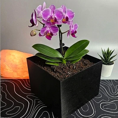 MAKEDOMINI - Chậu Cây Mô-đun In 3D (Dễ In, Không Cần Support)