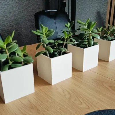 Bình hoa Cool Vase tối giản