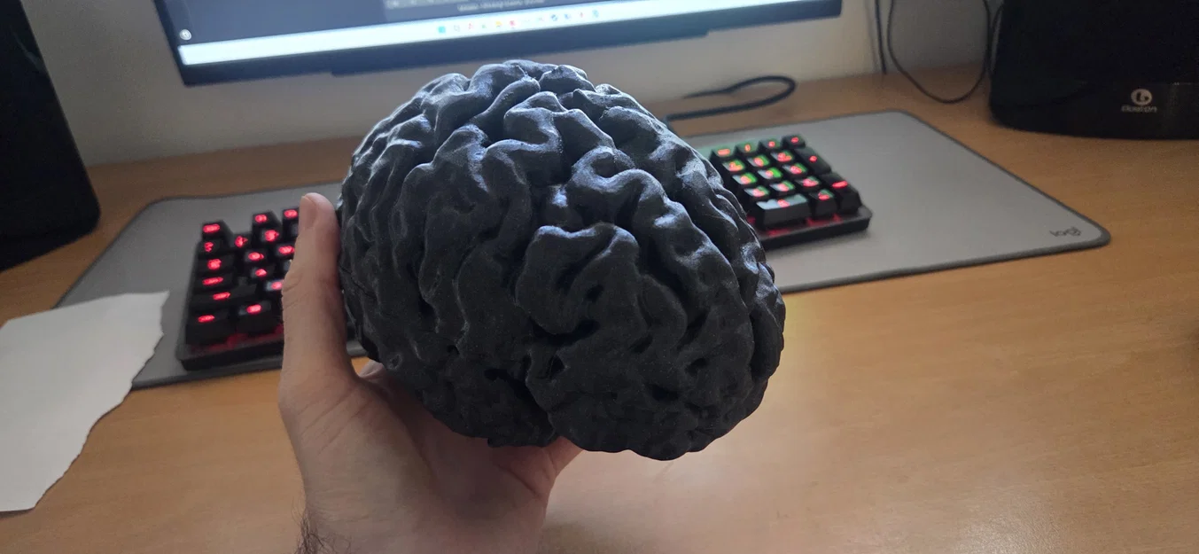 Mô hình 3D não bộ người được tạo từ dữ liệu quét MRI chi tiết - Image 1