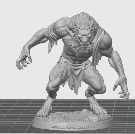 Werewolf Brawler (Người Sói Chiến Binh) - Image 1