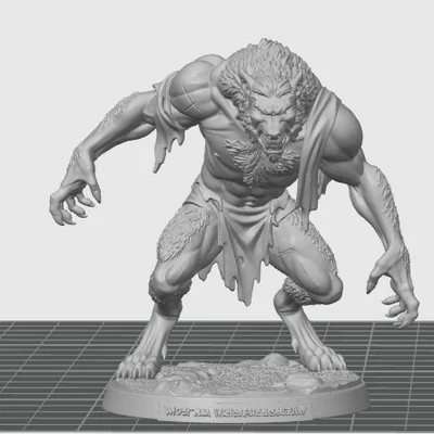 Werewolf Brawler (Người Sói Chiến Binh)