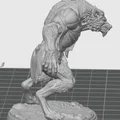 Werewolf Brawler (Người Sói Chiến Binh) - Thumbnail 2