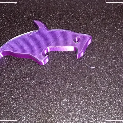 Mở Nắp Chai Bia Hình Cá Heo Độc Đáo - File In 3D Dễ Thương