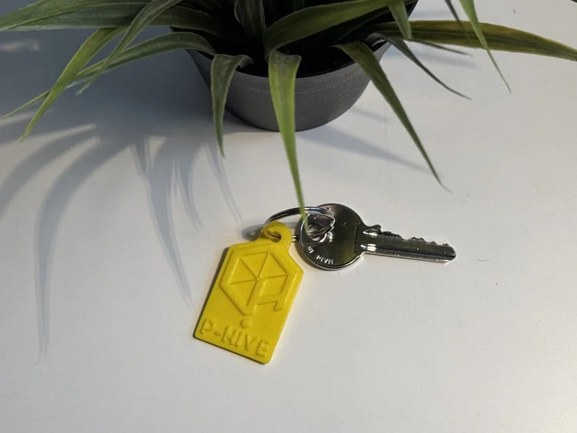 Móc khóa logo P-Hive - Image 1