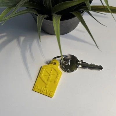 Móc khóa logo P-Hive