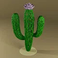 Cactus Voronoi (Xương Rồng Voronoi) - Thumbnail 1