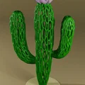 Cactus Voronoi (Xương Rồng Voronoi) - Thumbnail 2