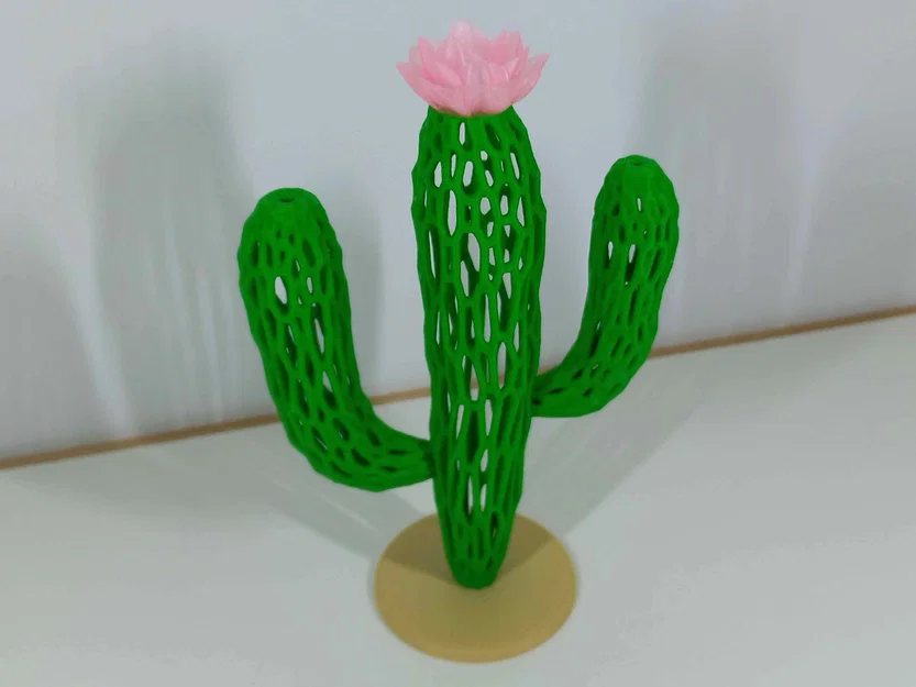 Cactus Voronoi (Xương Rồng Voronoi) - Image 3
