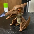 Mô hình 3D khủng long bay Pterodactyl mini đáng yêu cho bé - Thumbnail 2