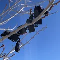 Mô hình mèo cử động dễ thương (Articulated Cute Cat) - Thumbnail 3