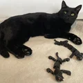 Mô hình mèo cử động dễ thương (Articulated Cute Cat) - Thumbnail 8