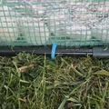 Kẹp Cố Định Khung Nhà Kính (Polytunnel) - Thumbnail 2