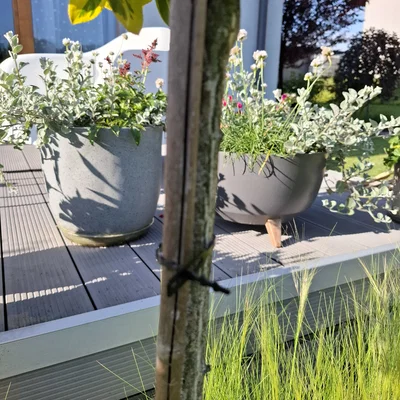 Dây buộc cây / Dây rút nhựa đa năng (Modular)