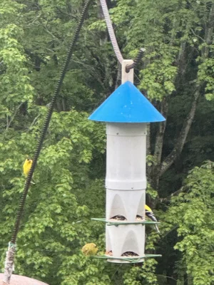 Máng Ăn Cho Chim 8 Trạm (8 Station Bird Feeder) - Image 1