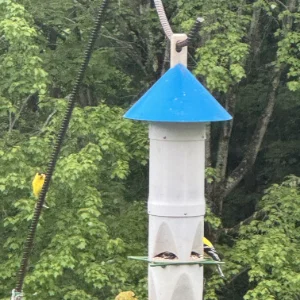 Máng Ăn Cho Chim 8 Trạm (8 Station Bird Feeder)