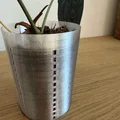 Chậu trồng cây thoáng khí cho kiểng lá (Aroids) - Thumbnail 2