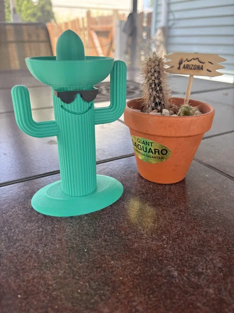Cây Xương Rồng Miền Viễn Tây (Wild West Cactus) - Image 1