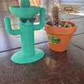Cây Xương Rồng Miền Viễn Tây (Wild West Cactus) - Thumbnail 1