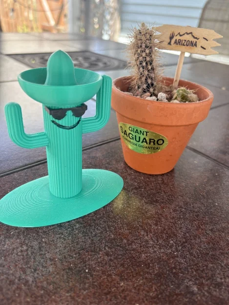 Cây Xương Rồng Miền Viễn Tây (Wild West Cactus) - Image 3