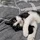 ezxzeng_1766503