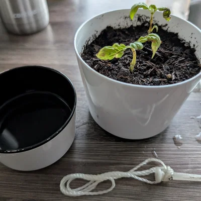 Chốt nhựa thay thế cho chậu cây thủy sinh Rosti Mepal in 3D