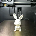 Mô hình 3D Chú thỏ con dễ thương (Cute Rabbit) - Trang trí cực xinh - Thumbnail 2