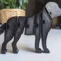 Chú chó Labrador linh hoạt (Flexi Labrador) - Thumbnail 1